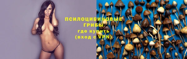 прущая мука Каменск-Шахтинский