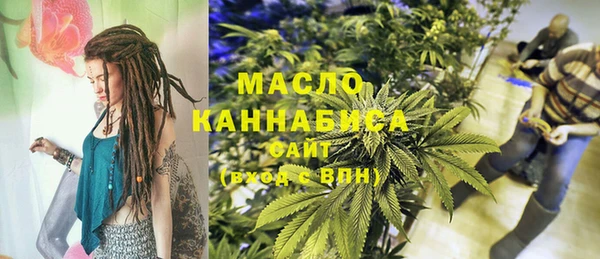 соль ск Каменка